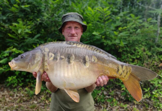 Compton’s Lake - Image 4