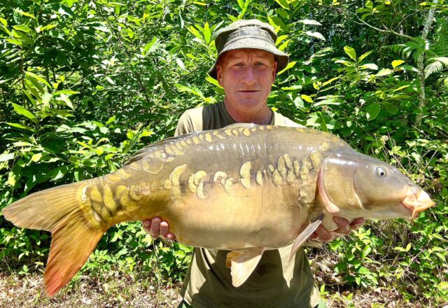 Compton’s Lake - Image 6