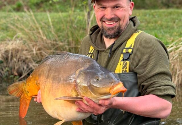 Compton’s Lake - Image 2