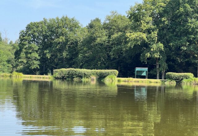 Lac de Lion - Image 1