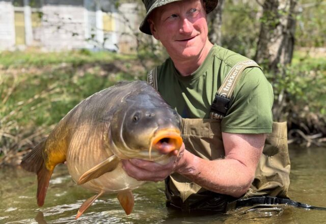 Compton’s Lake - Image 1