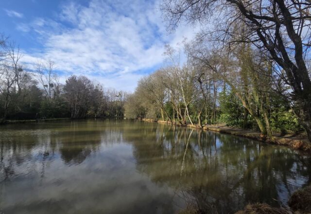 Birch Lake - Image 1