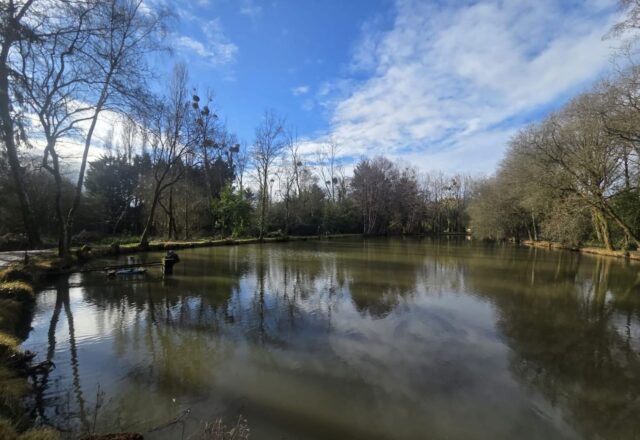 Birch Lake - Image 6