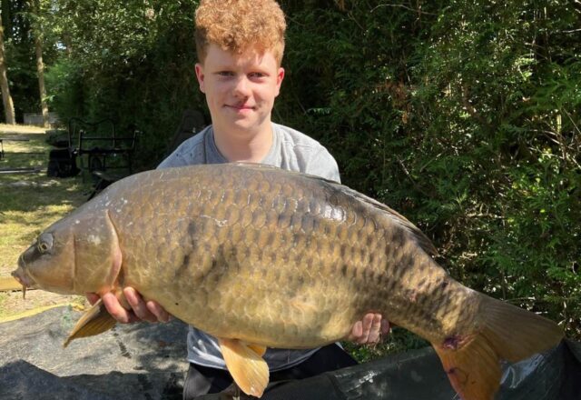 Birch Lake - Image 5