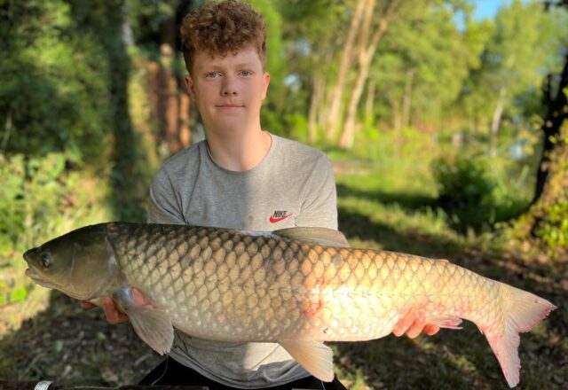 Birch Lake - Image 9