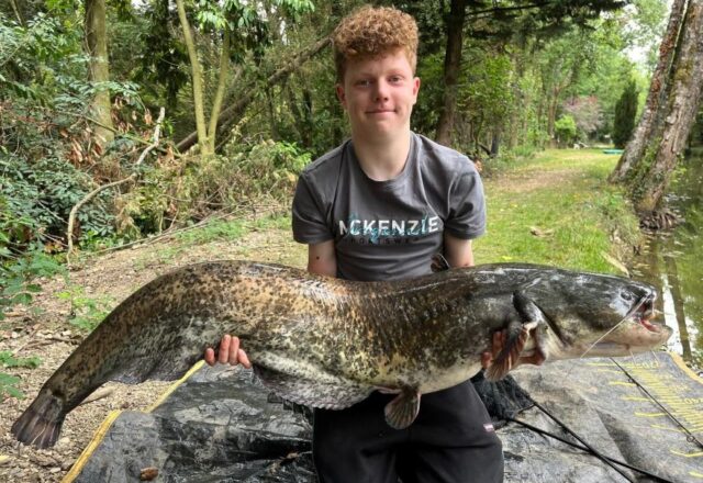 Birch Lake - Image 7