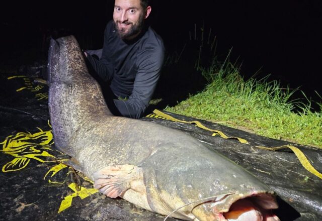 Birch Lake - Image 4