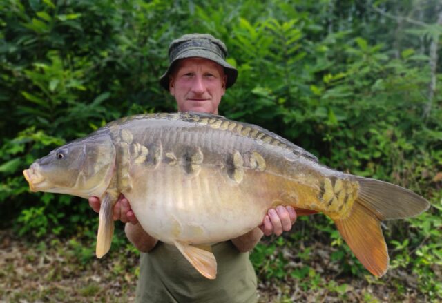 Compton’s Lake - Image 4