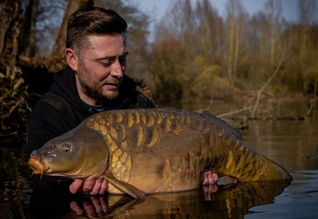 Carp Somnium - Image 10