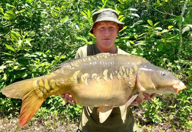 Compton’s Lake - Image 6