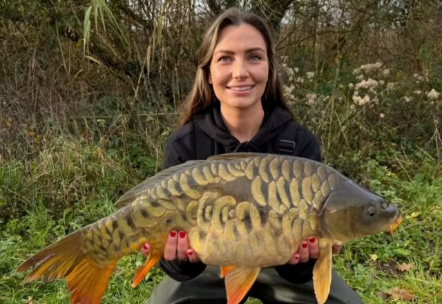 Carp Somnium - Image 5