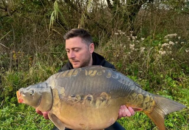 Carp Somnium - Image 9