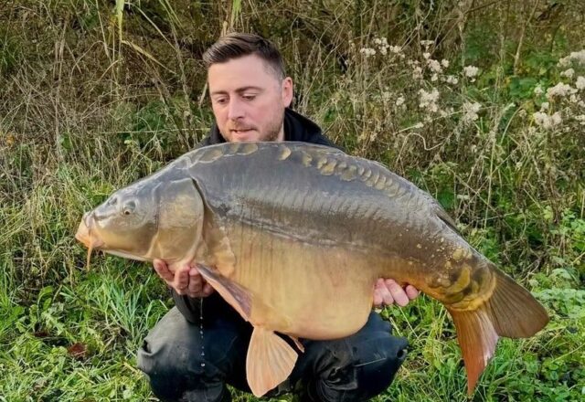 Carp Somnium - Image 6