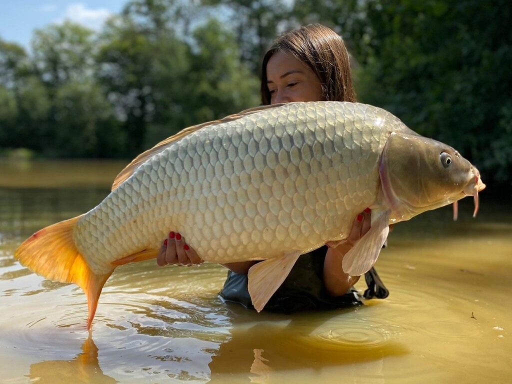Last Minute Carp Fishing Holidays — How to Find and Book Availability Fast
