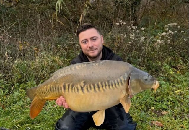 Carp Somnium - Image 4