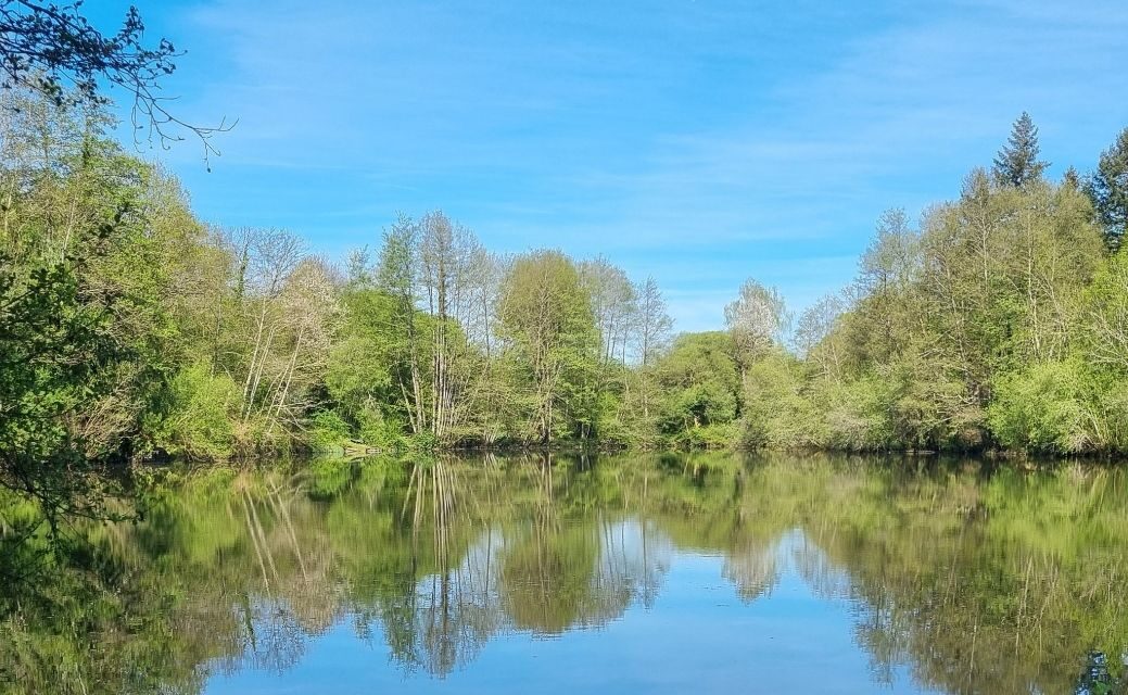 Carp France Fishing