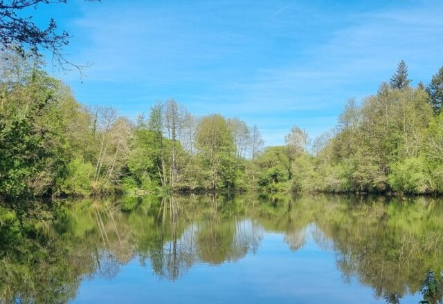 Carp France Fishing - Image 1