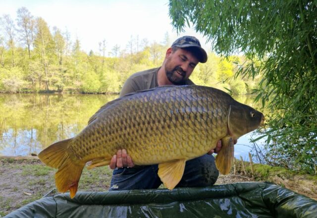 Carp France Fishing - Image 8