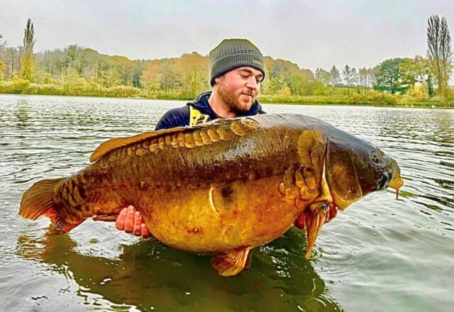 Etang des Moulinots - Image 3