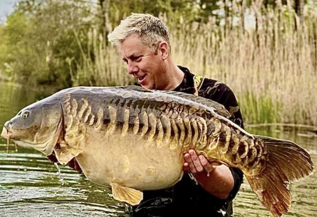 Etang des Moulinots - Image 2