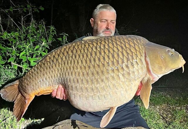 Etang des Moulinots - Image 9