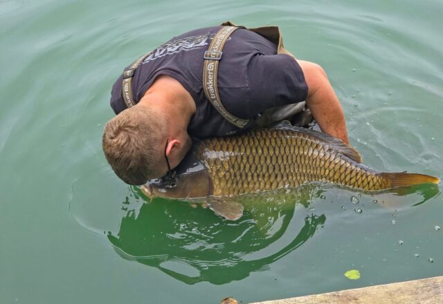 Etang des Moulinots - Image 7