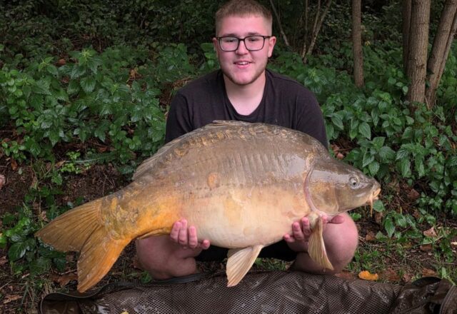 Etang des Moulinots - Image 5