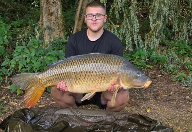 Etang des Moulinots - Image 10