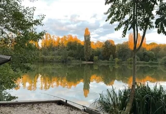 Etang des Moulinots - Image 8