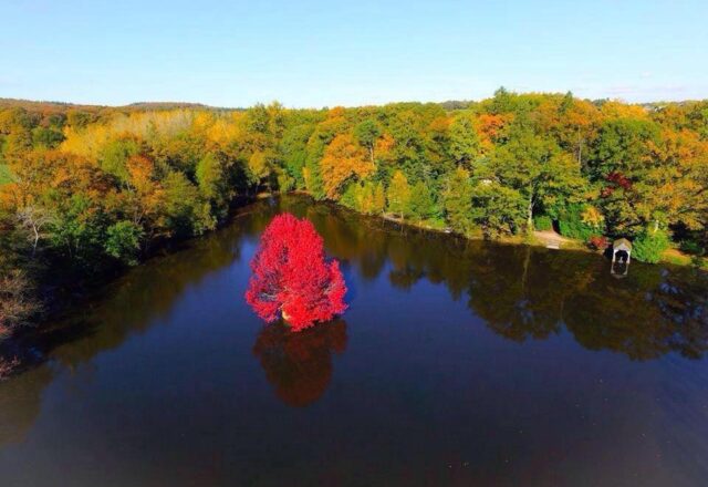 Etang des Landes - Image 1