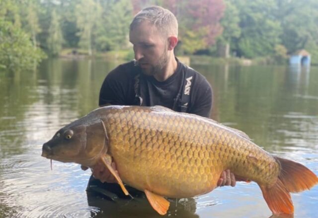 Etang des Landes - Image 6