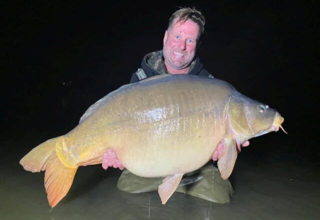 Etang des Landes - Image 5