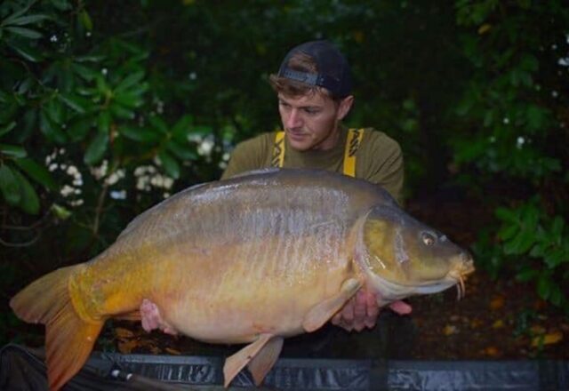 Etang des Landes - Image 2