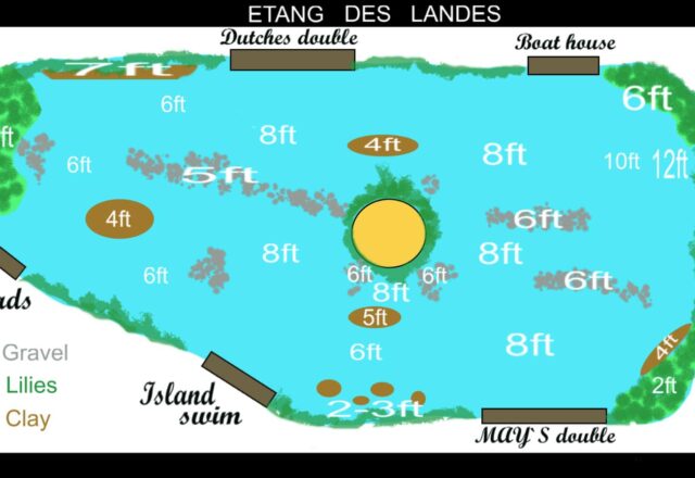 Etang des Landes - Image 4