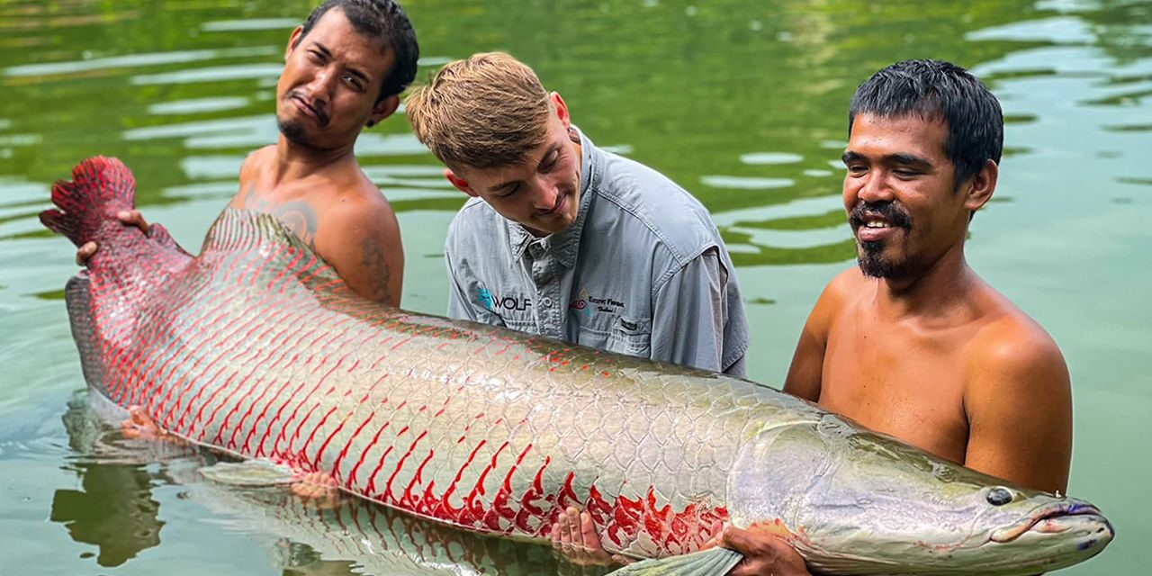 Exotic Fishing Thailand