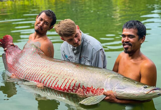 Exotic Fishing Thailand - Image 6