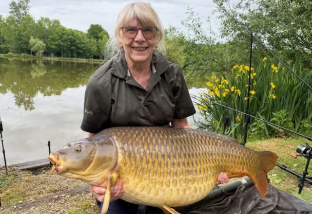 Lac de Laneuville - Image 4