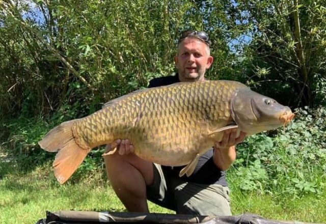 Lac de Laneuville - Image 2