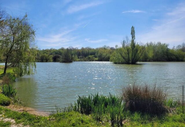 Lac de Laneuville - Image 1