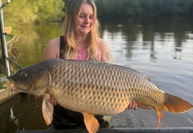 Lac de Lion - Image 2