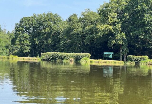 Lac de Lion - Image 1