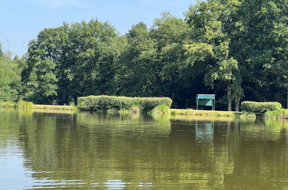 Lac de Lion