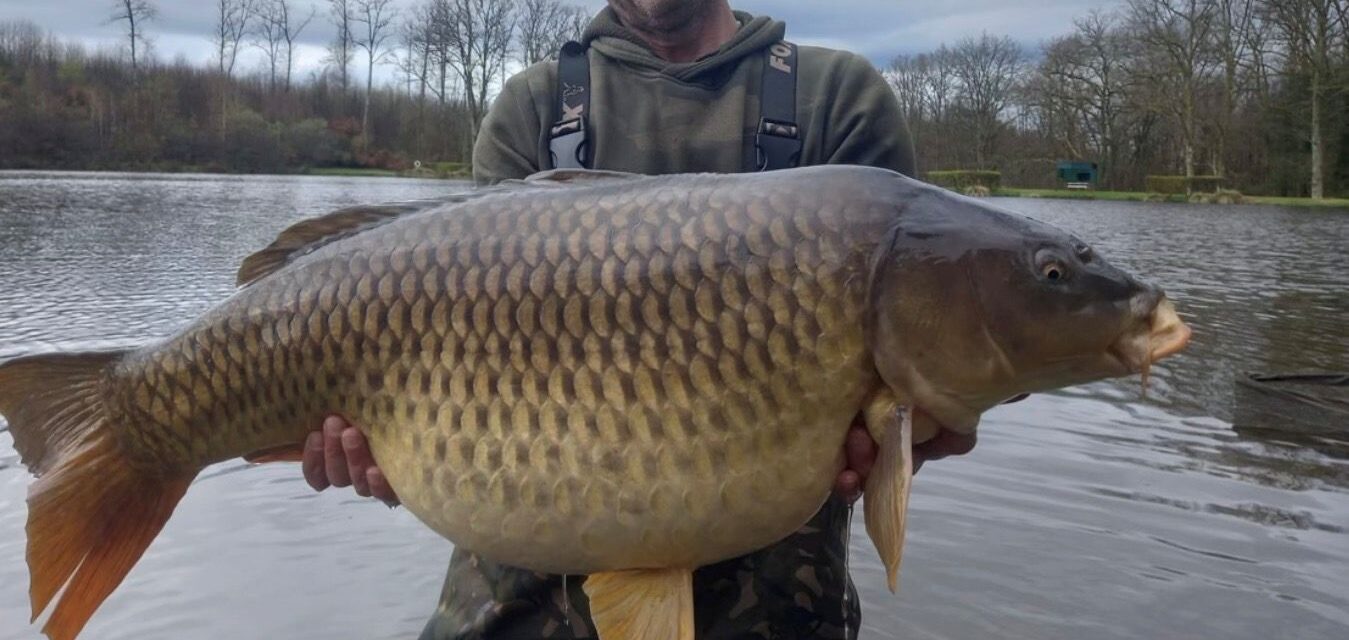 Lac de Lion