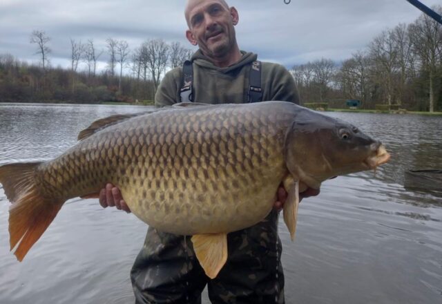 Lac de Lion - Image 3