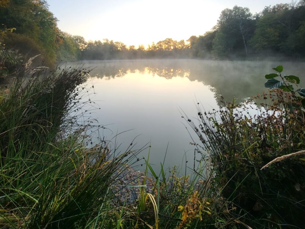 Your French or European fishery deserves to be seen by thousands of UK anglers