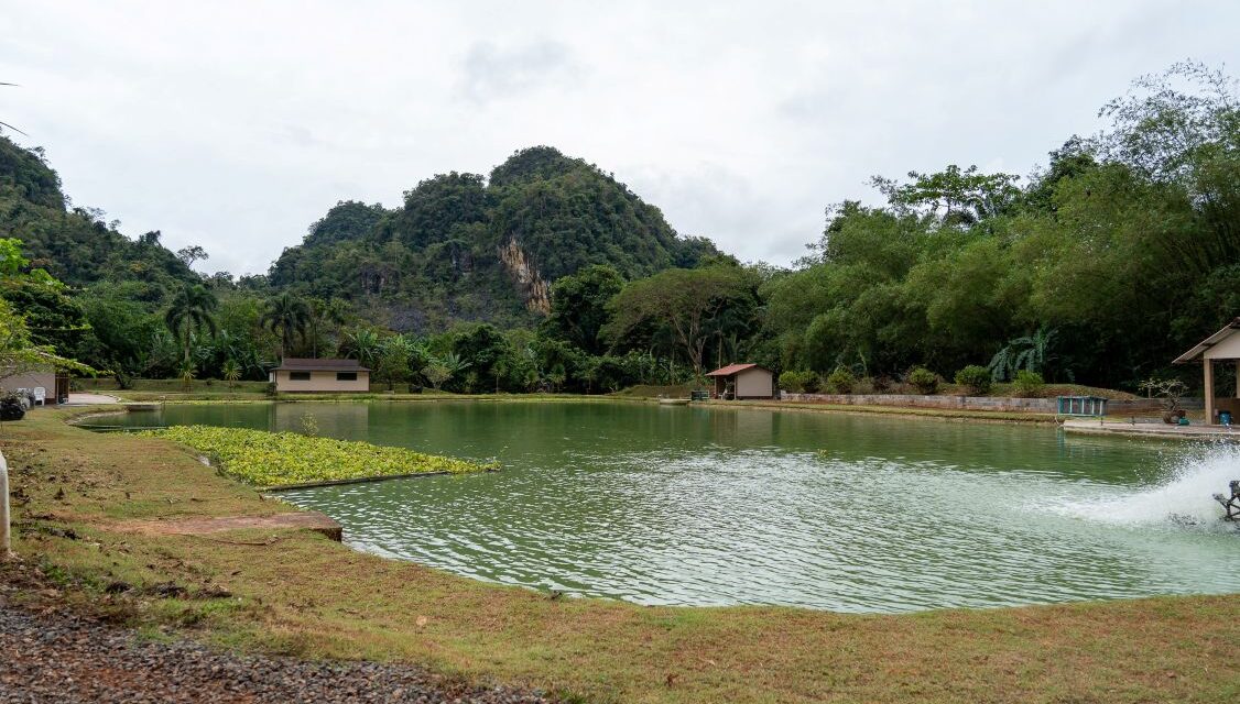 Exotic Fishing Thailand
