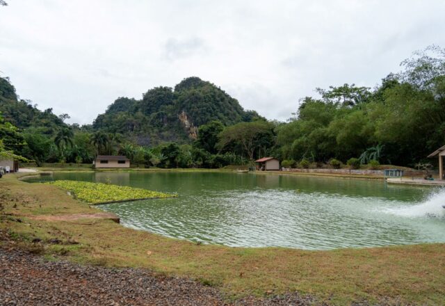 Exotic Fishing Thailand - Image 7