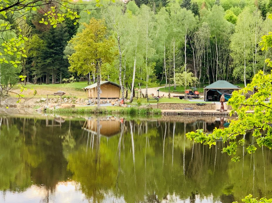 Bait Strategy for Summer Carp Fishing in France