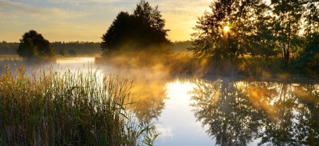 Carp Fishing in France: What Makes an Exclusive Lake Hire Worth It