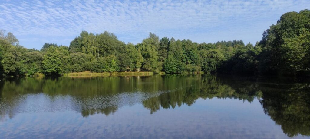Compton's Lakes